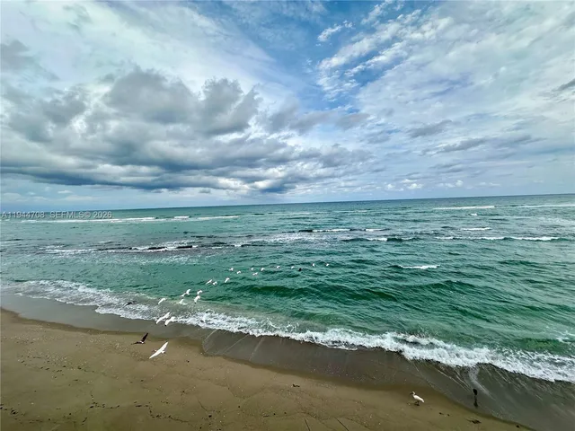 a view of a field with an ocean