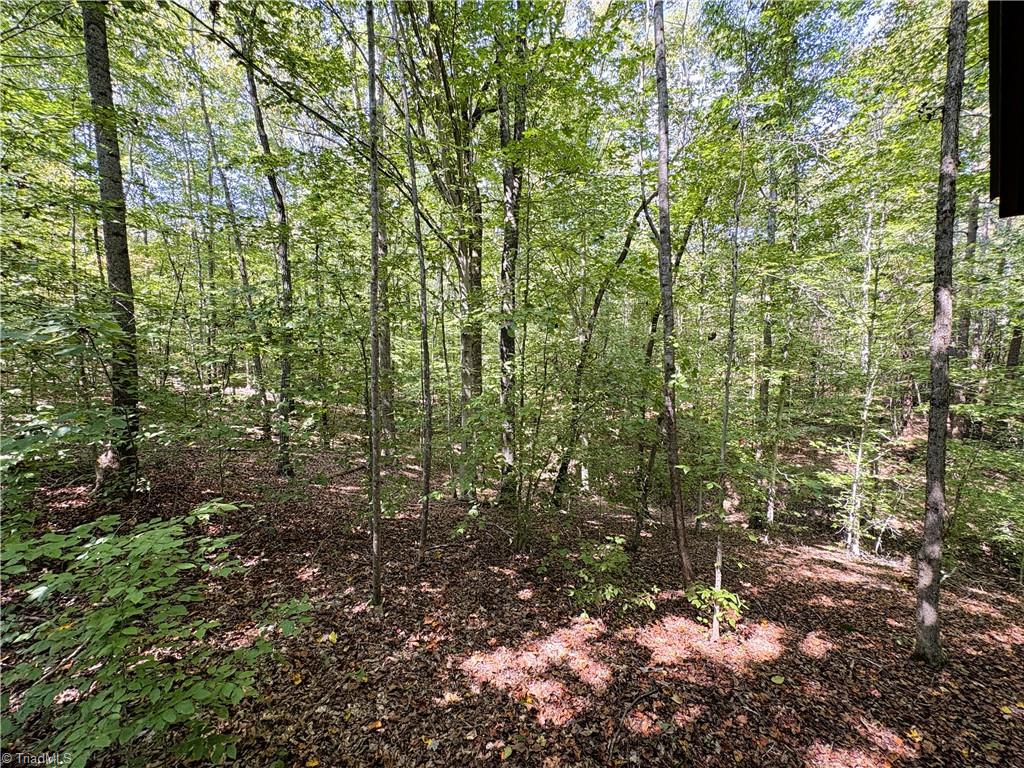 1243 Hunt Joyce Road Madison, NC 27025 - Photo 43 of 50 Gallery Image 43