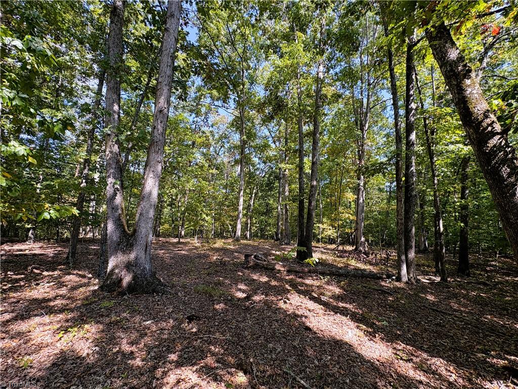 1243 Hunt Joyce Road Madison, NC 27025 - Photo 44 of 50 Gallery Image 44