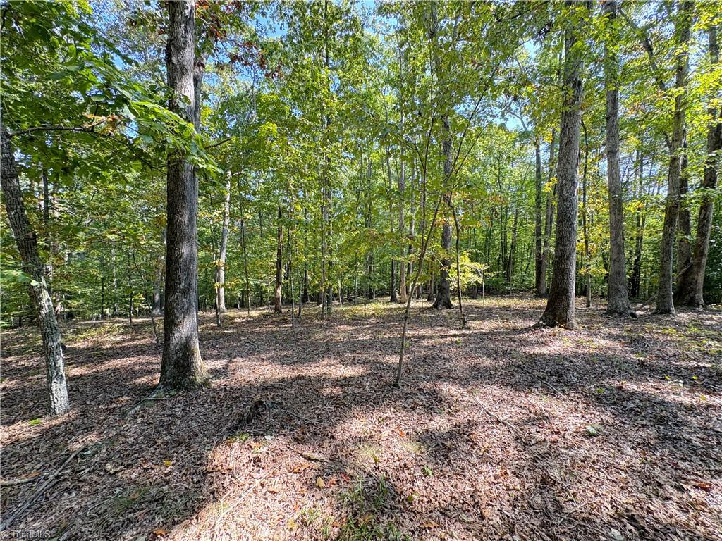 1243 Hunt Joyce Road Madison, NC 27025 - Photo 46 of 50 Gallery Image 46