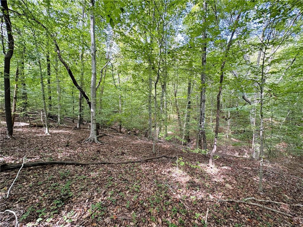 1243 Hunt Joyce Road Madison, NC 27025 - Photo 48 of 50 Gallery Image 48
