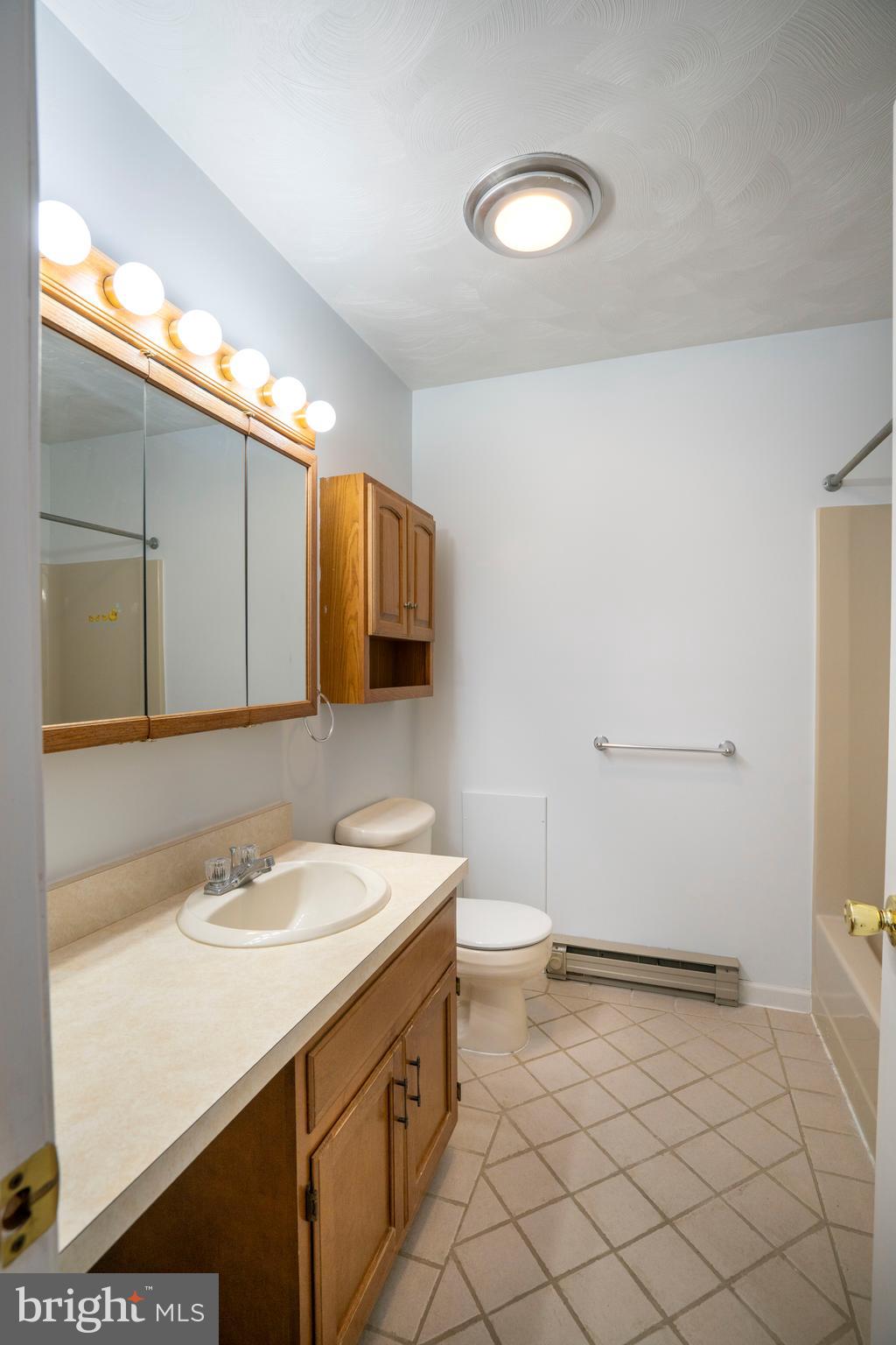 2510 Buchenhorst Road State College, PA 16801 - Photo 38 of 64 a bathroom with a sink a toilet and mirror