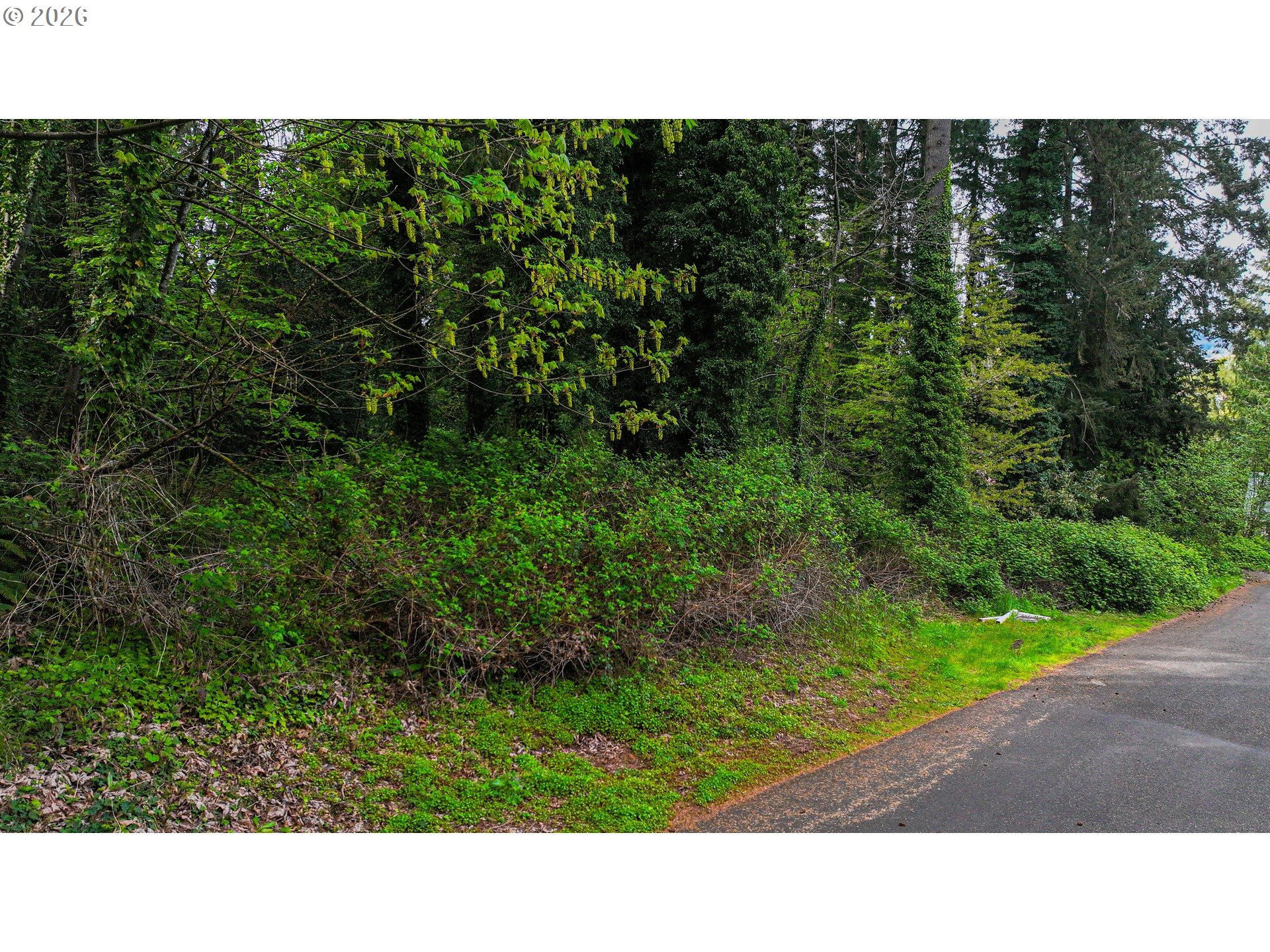 0 Southeast Minerva Road Milwaukie, OR 97267 - Photo 7 of 12