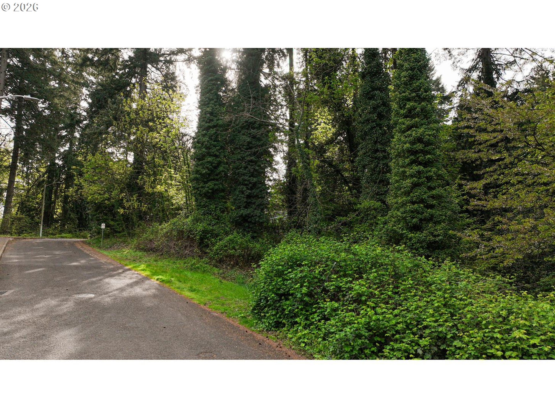 0 Southeast Minerva Road Milwaukie, OR 97267 - Photo 8 of 12