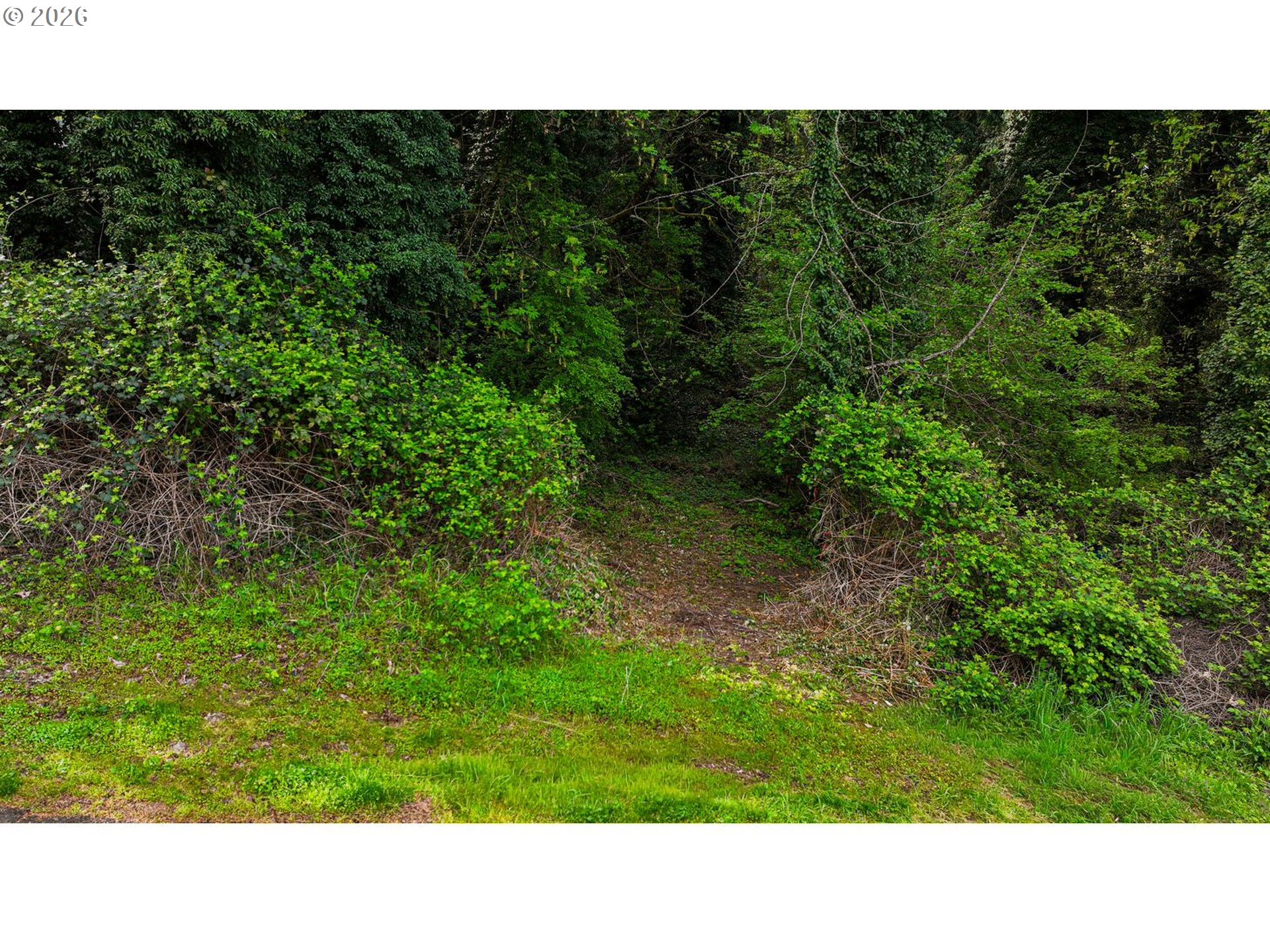 0 Southeast Minerva Road Milwaukie, OR 97267 - Photo 9 of 12