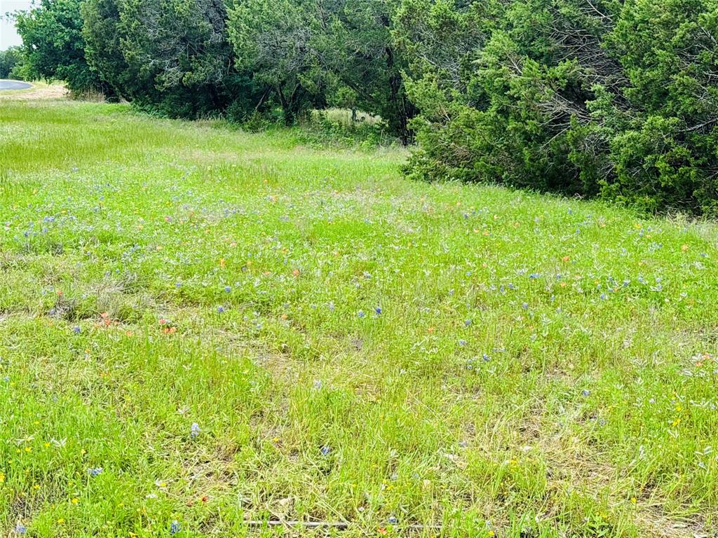 8356 Bruntsfield Loop Drive Cleburne, TX 76033 - Photo 2 of 5