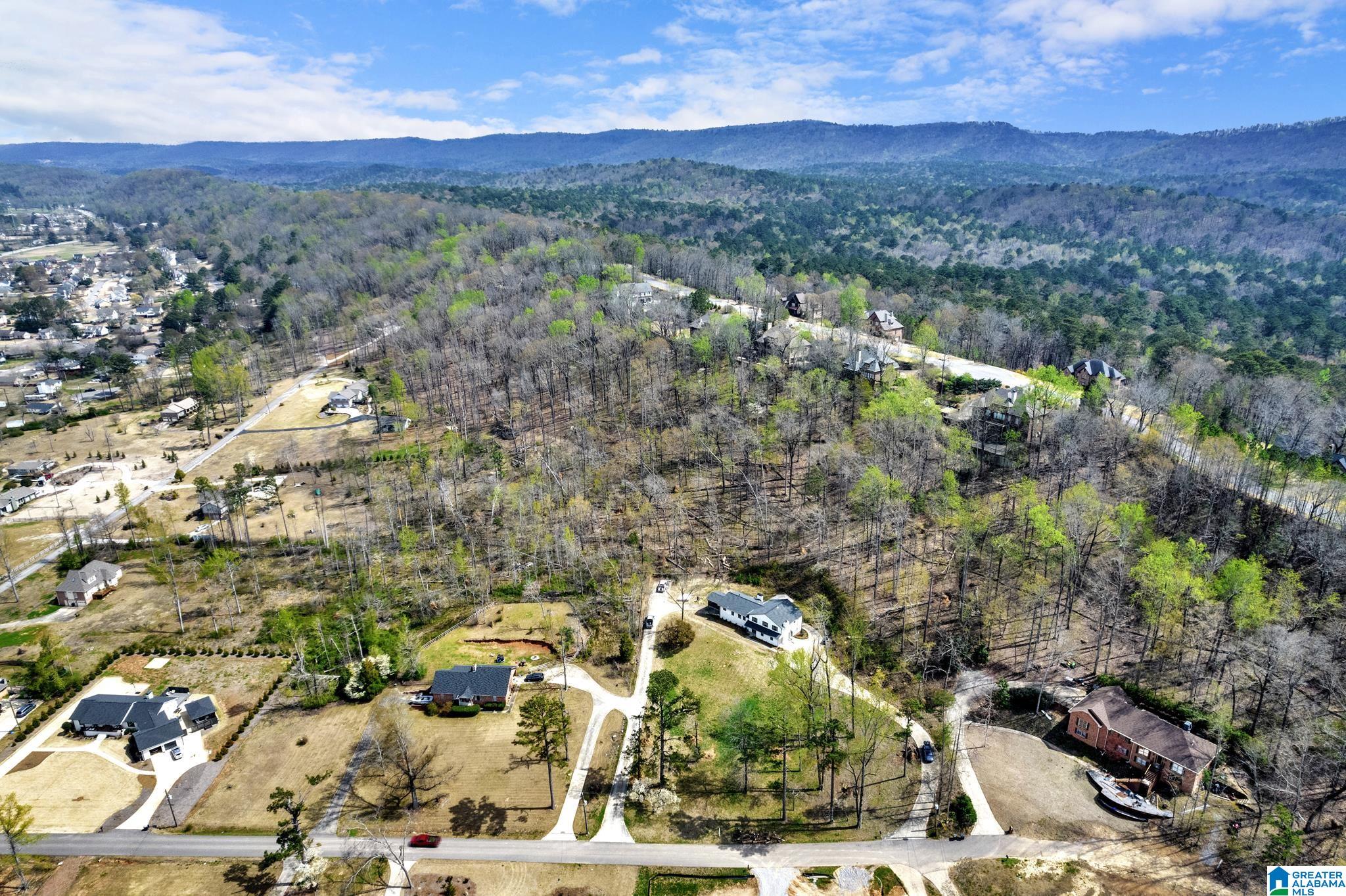 5537 Timber Hill Road Birmingham, AL 35242 - Photo 51 of 54