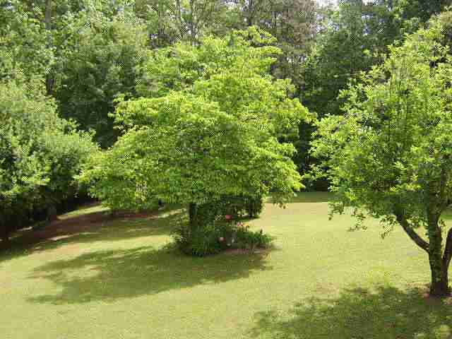 997 Summer Place Anderson, SC 29621 - Photo 9 of 9 Gallery Image 9