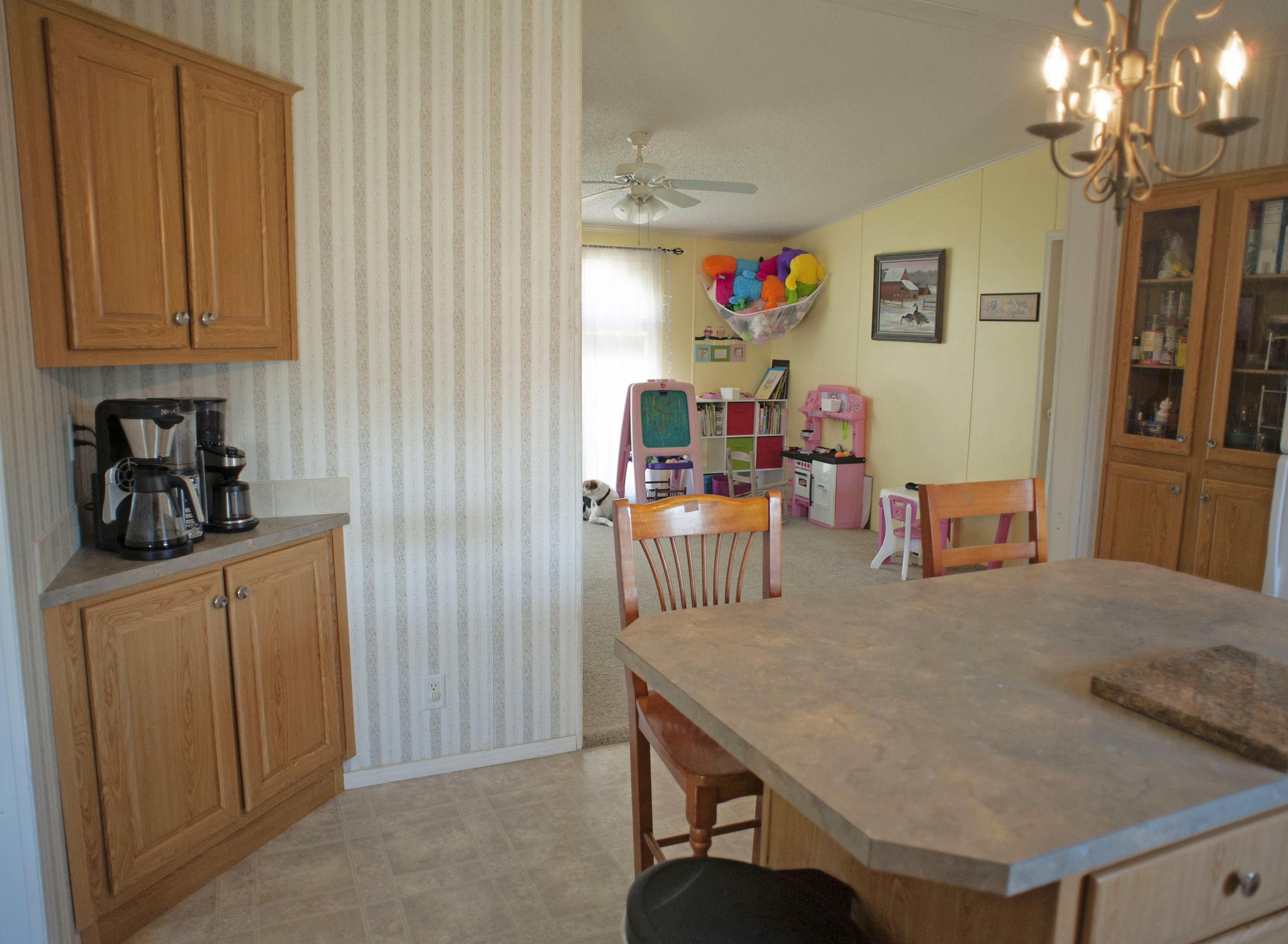 241 Cheyenne Road Robbins, NC 27325 - Photo 8 of 30 Kitchen