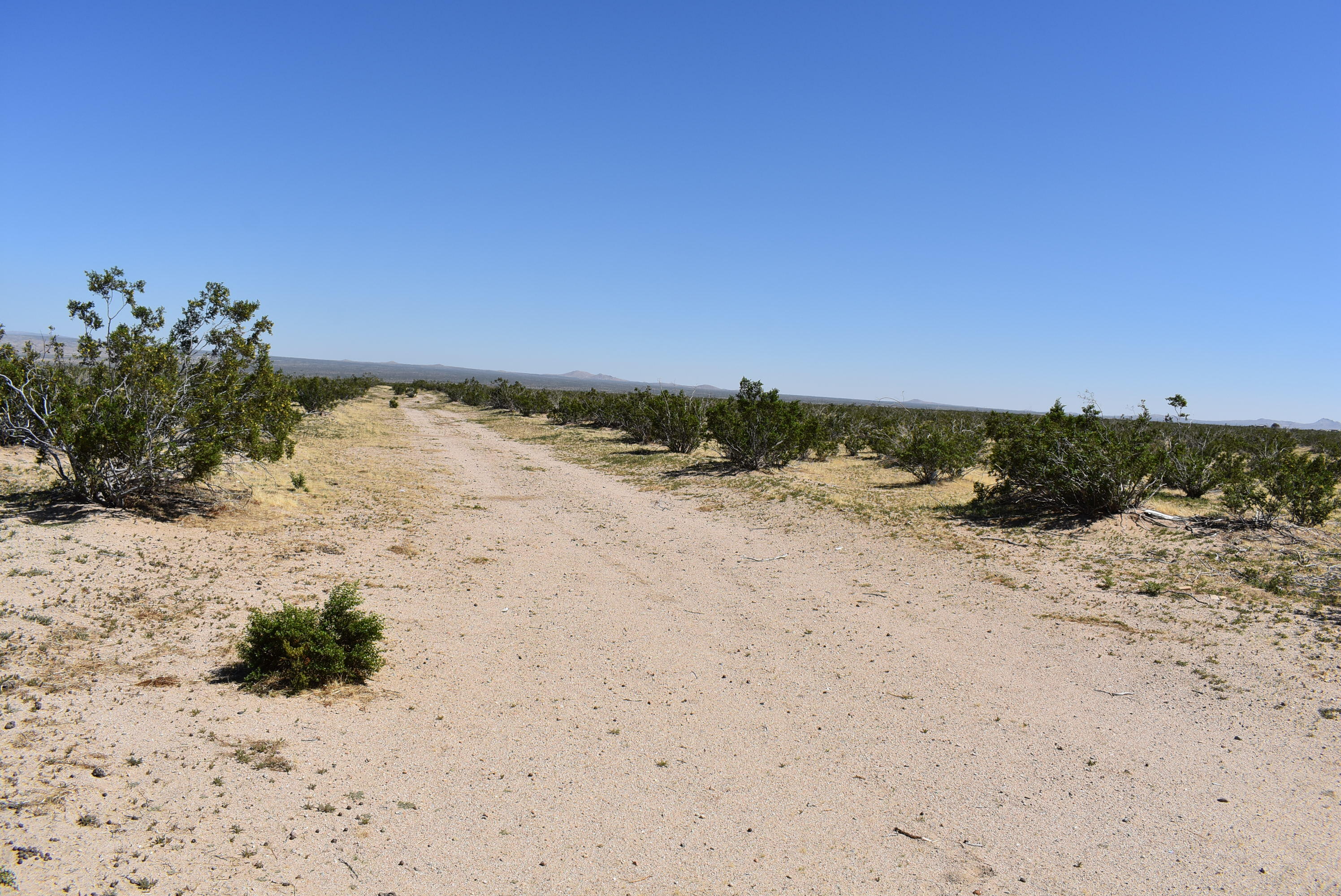 Yerba Boulevard Mojave, CA 93501 - Photo 3 of 13 a view of ocean beach and mountain