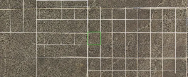 a picture of a person on a wall