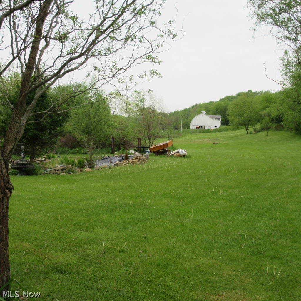 135 Bark Road Northwest Dellroy, OH 44620 - Photo 3 of 18 Gallery Image 3