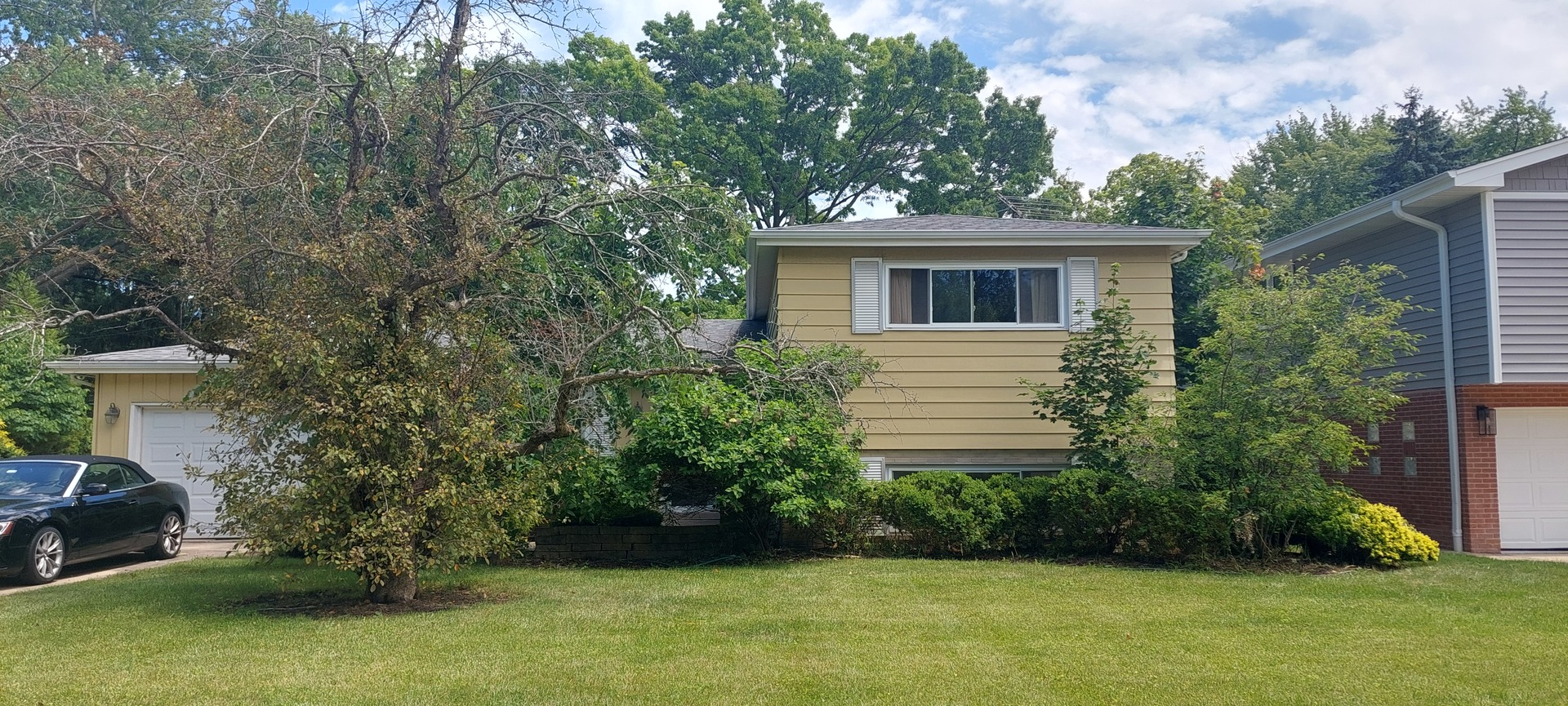 117 South Waverly Pl  