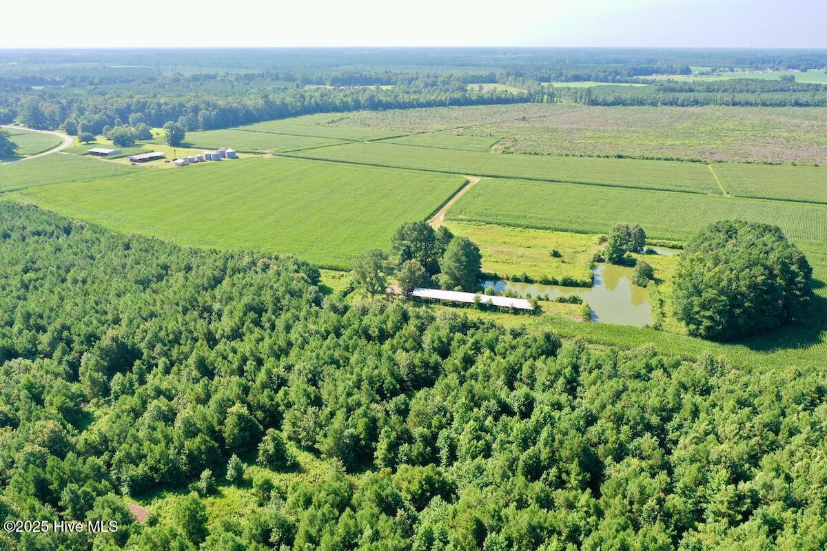 108 Savage Road Corapeake, NC 27926 - Photo 21 of 59 21