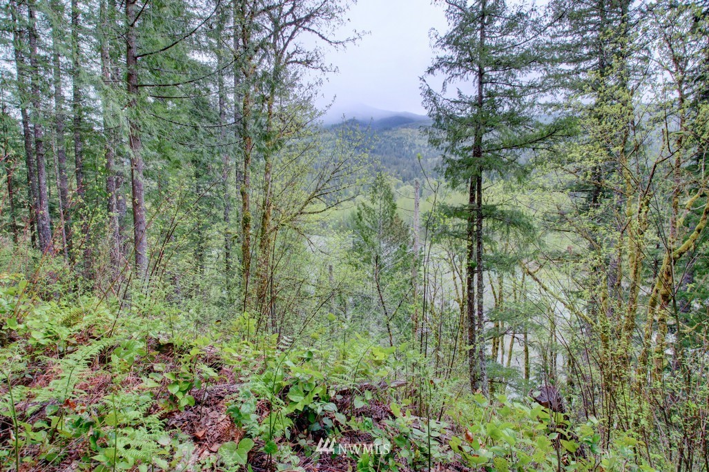 48-6 Riverside Drive Deming, WA 98244 - Photo 28 of 40 Gallery Image 28