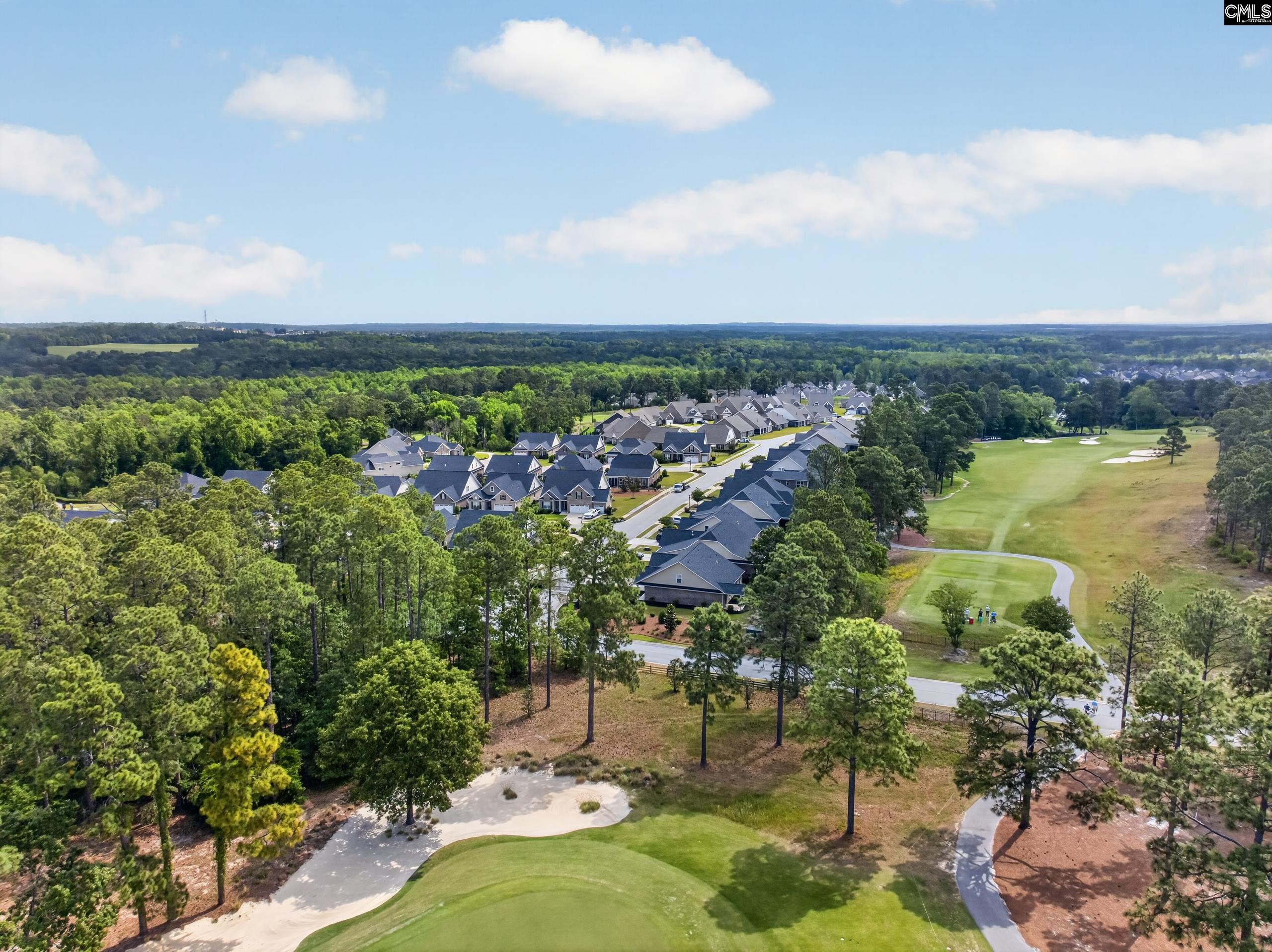 401 Layup Court Elgin, SC 29045 - Photo 4 of 36