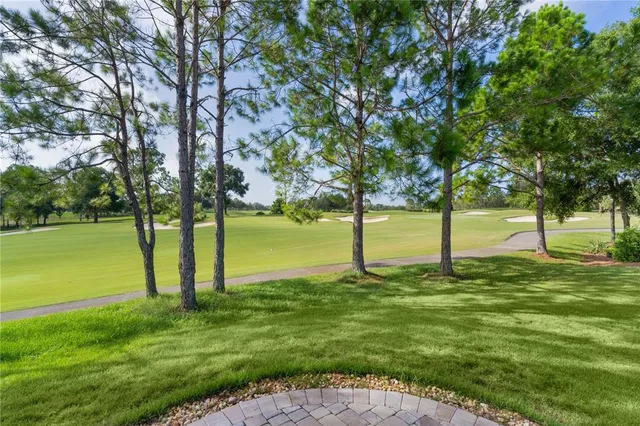 a view of an ocean with trees