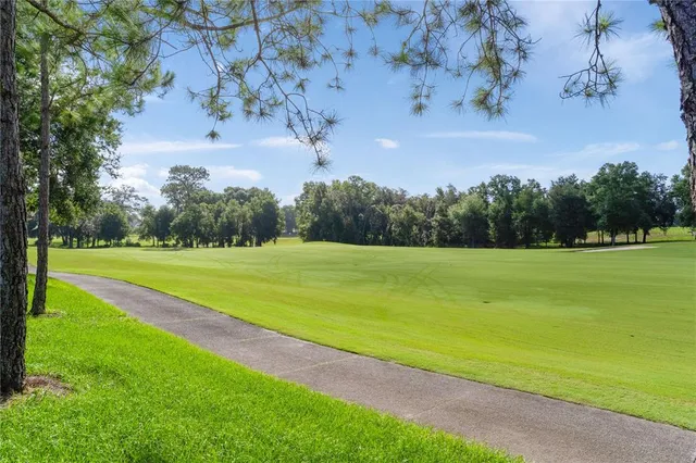 a view of a field with a big yard