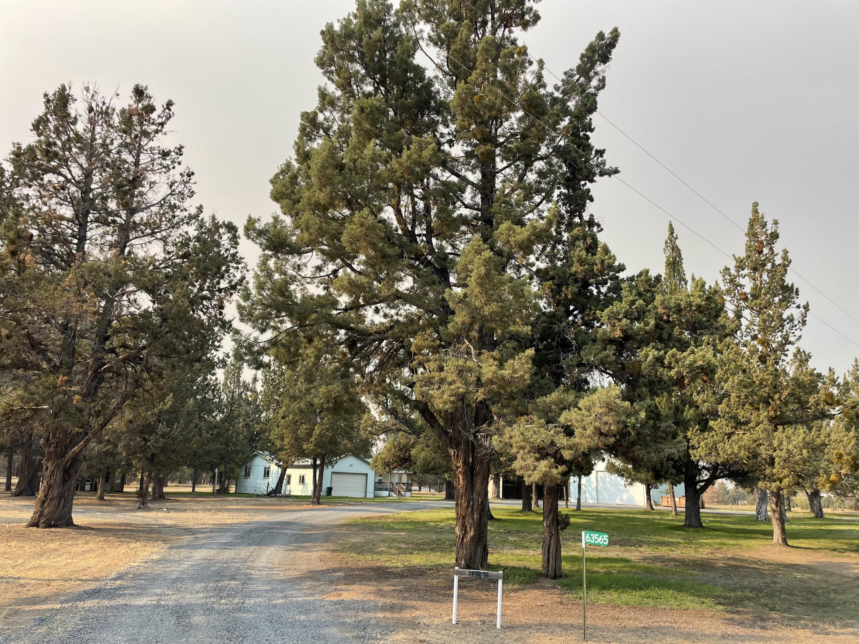 63565 Hughes Road Bend, OR 97701 - Photo 42 of 47 IMG_6711