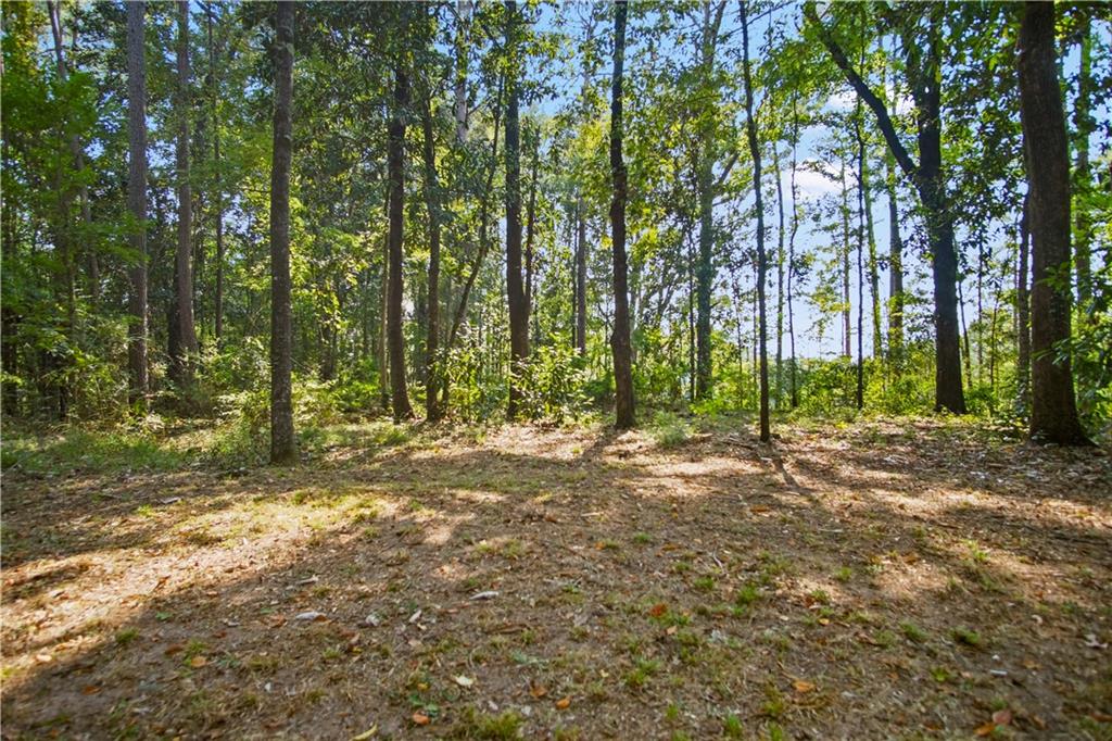 303 Raintree Place Pineville, LA 71360 - Photo 41 of 44