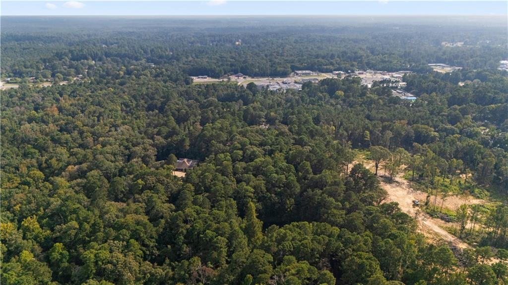 303 Raintree Place Pineville, LA 71360 - Photo 6 of 44