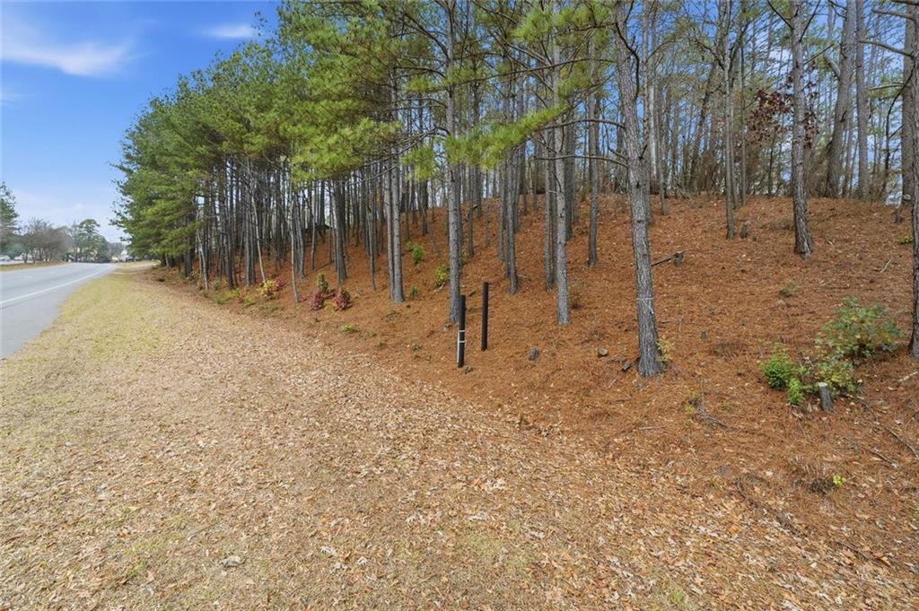 0 Mohawk Trail Suwanee, GA 30024 - Photo 2 of 16 a backyard of a house with lots of green space