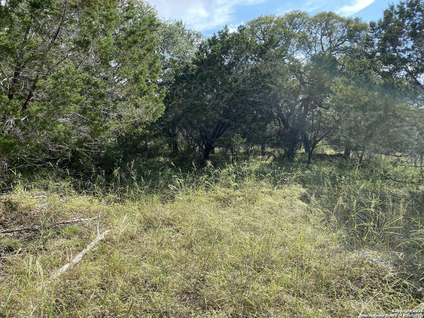 296 Recreation Spring Branch, TX 78070 - Photo 2 of 10 a view of outdoor space and trees