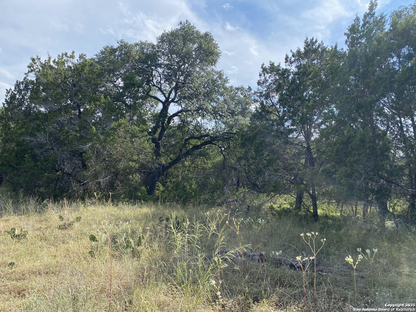 296 Recreation Spring Branch, TX 78070 - Photo 3 of 10 a view of a lake with a yard