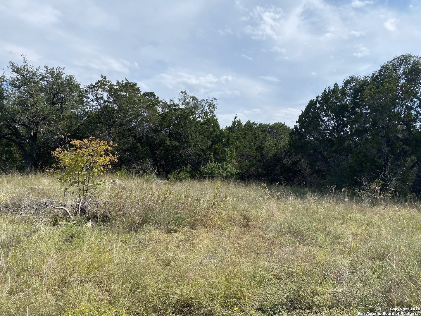 296 Recreation Spring Branch, TX 78070 - Photo 4 of 10 a view of a yard