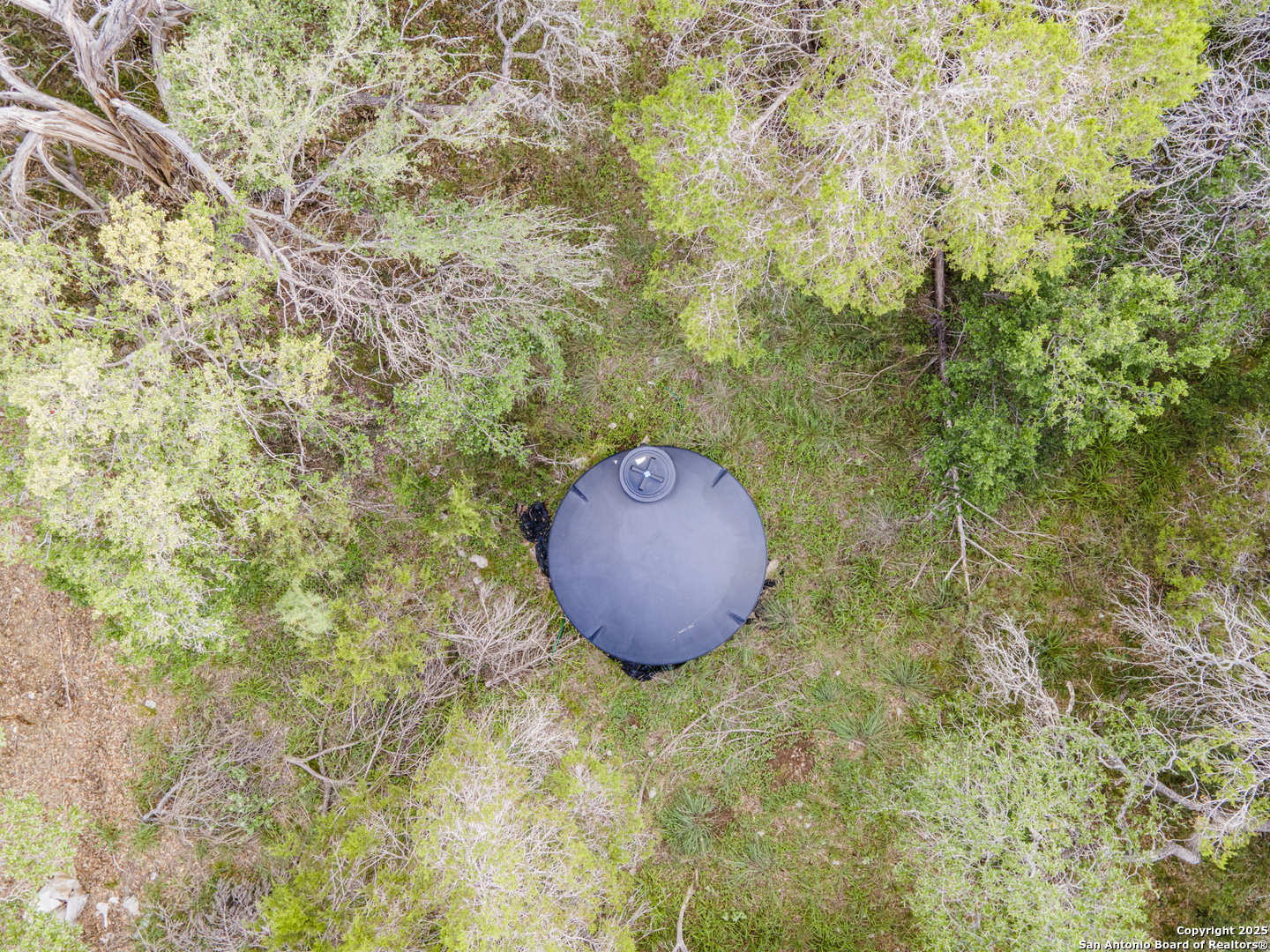 296 Recreation Spring Branch, TX 78070 - Photo 8 of 10 a view of a room with a tree and wooden fence