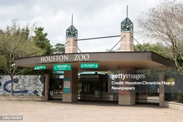 a city view with lot of high rise buildings