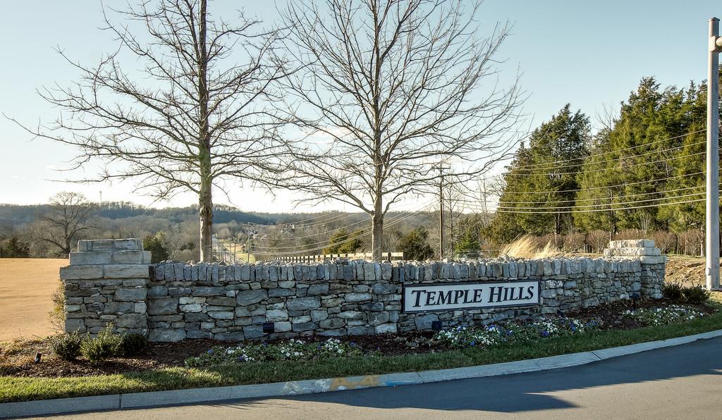 127 Baltusrol Road Franklin, TN 37069 - Photo 23 of 23 a view of a street with a tree in the background