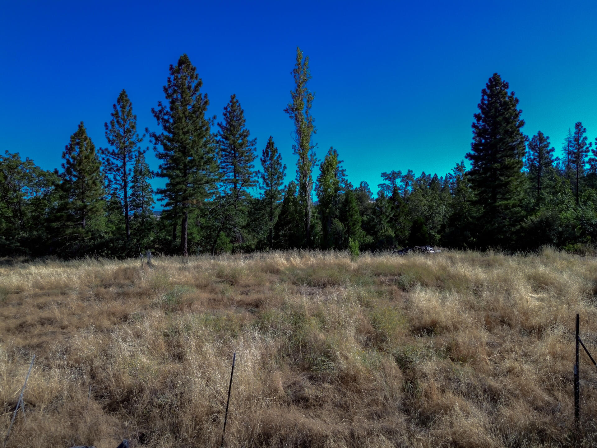 9999 Ogburn Inwood Cemetery Road Shingletown, CA 96088 - Photo 5 of 8 ShingletownProperty-11