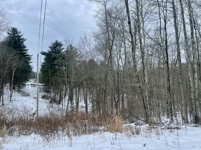 a view of a lake with a tree