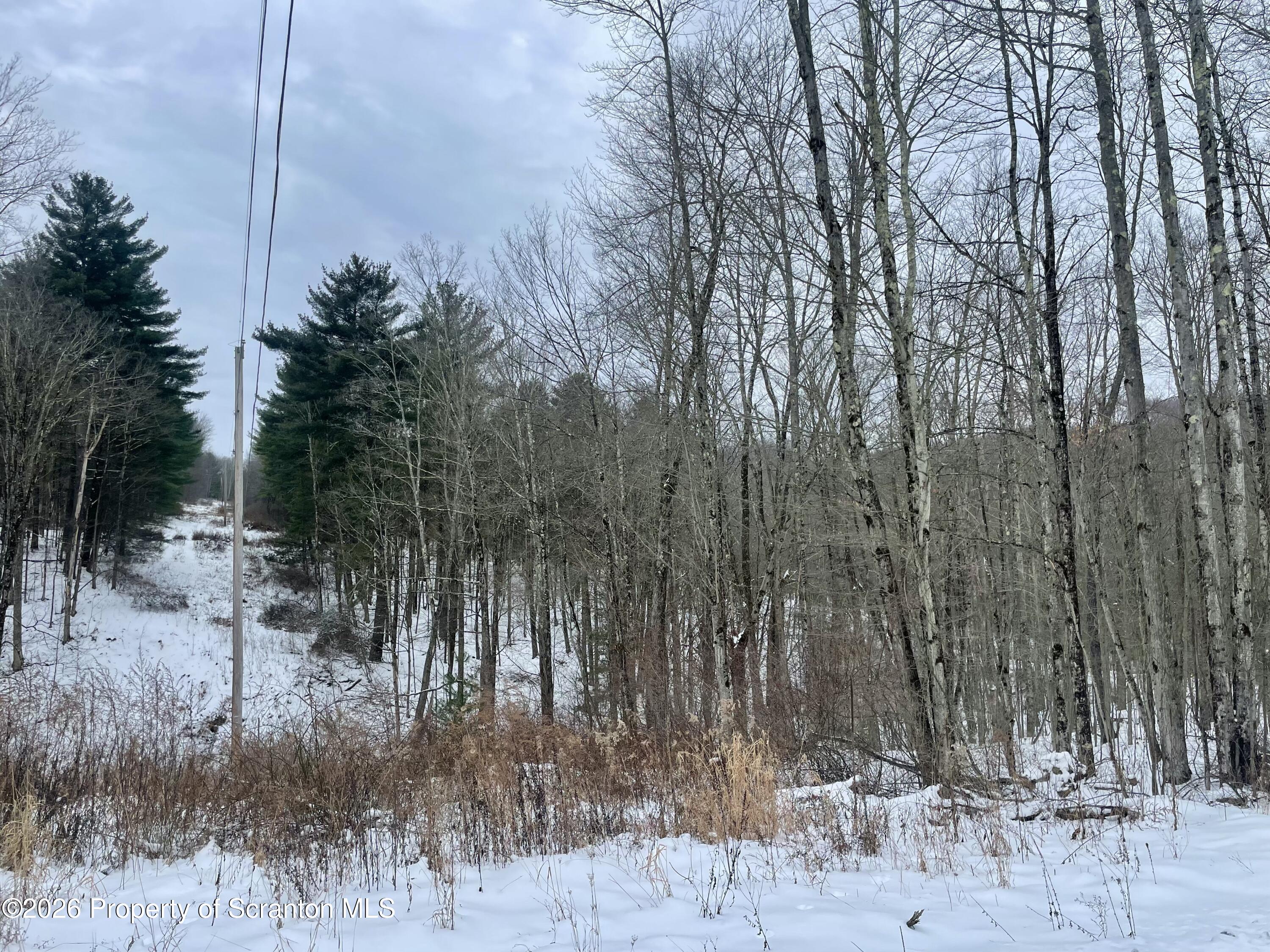 33 Arrowhead Road Little Meadows, PA 18830 - Photo 14 of 26 IMG_8806