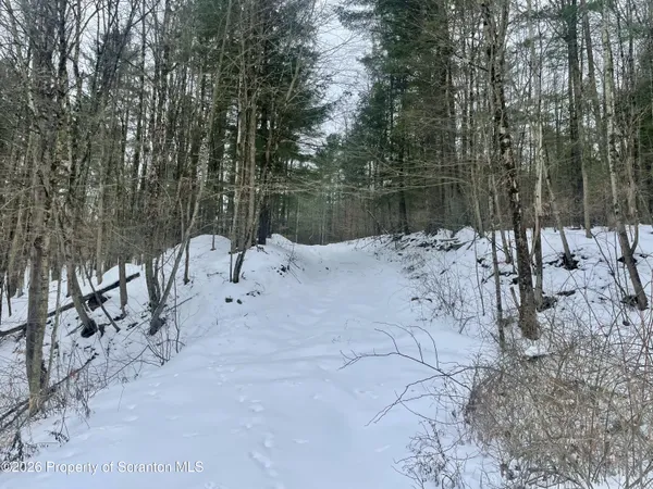 a view of snow covered with trees