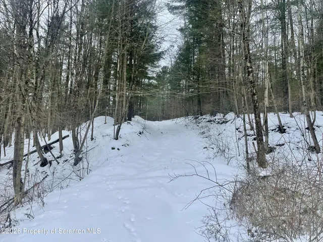 a view of snow covered with trees