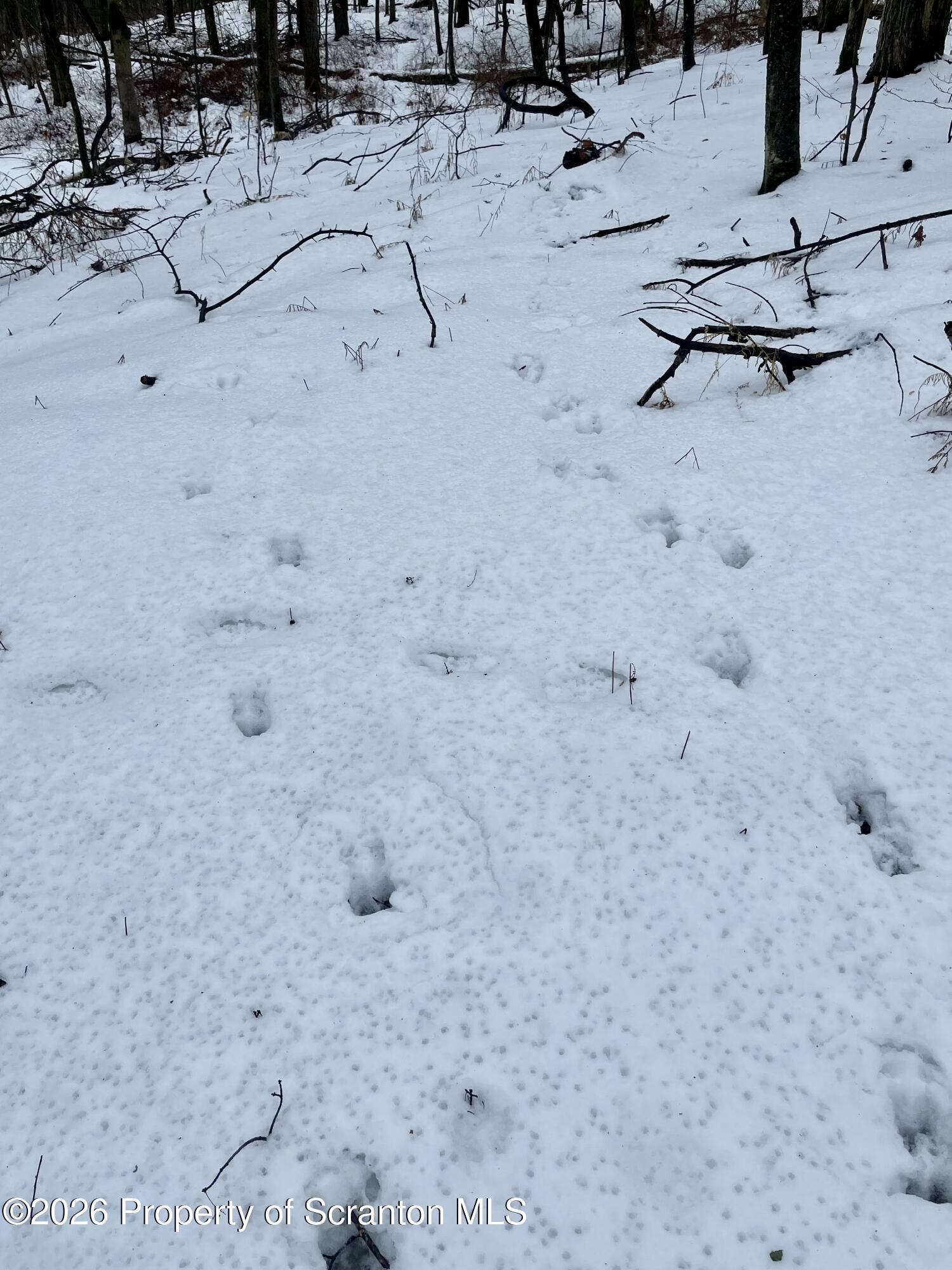 33 Arrowhead Road Little Meadows, PA 18830 - Photo 19 of 26 IMG_8828