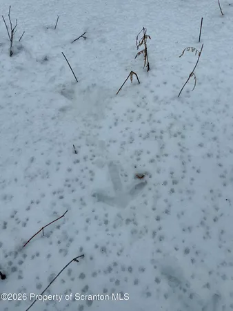a view of outdoor space with water view