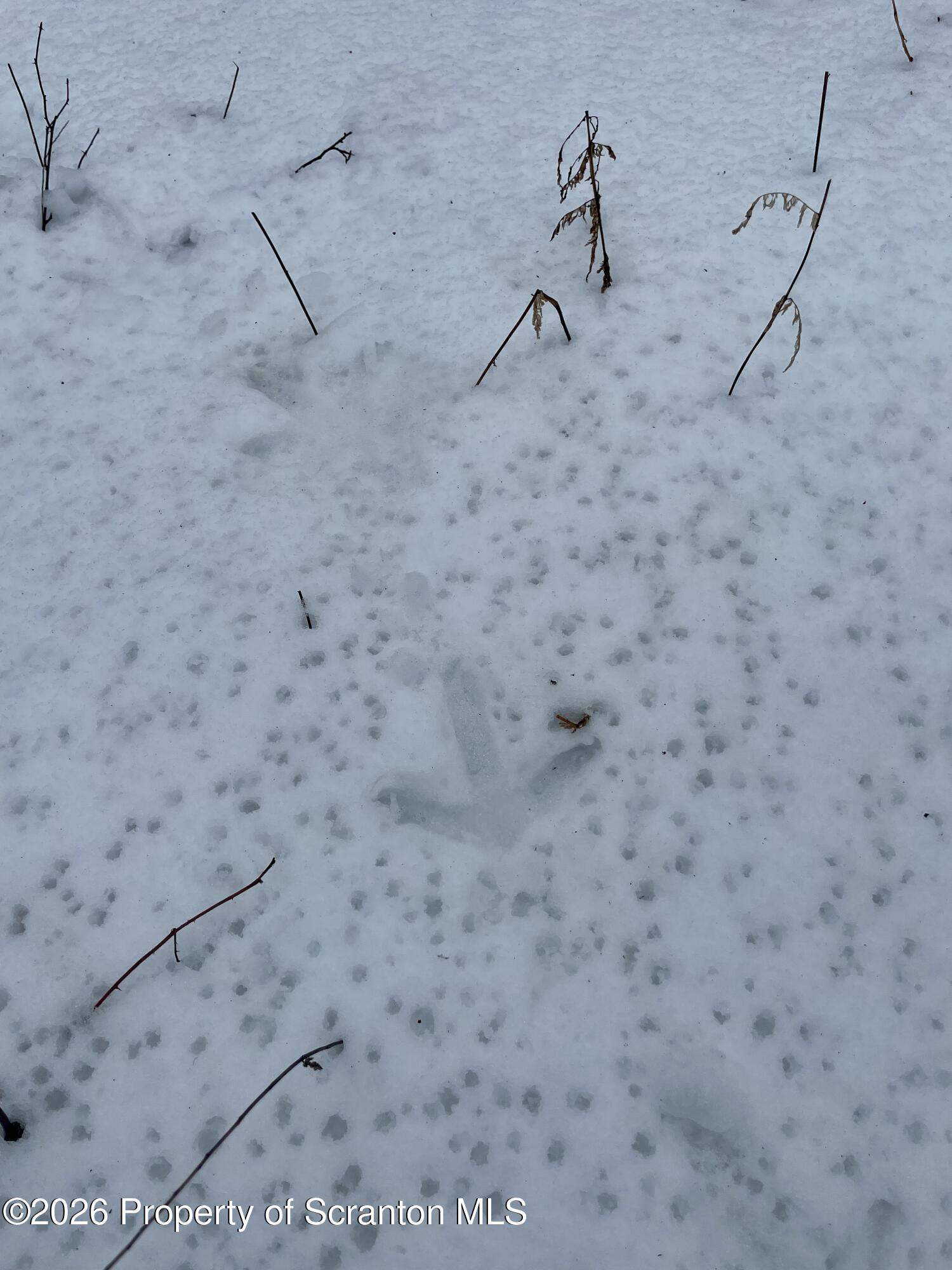 33 Arrowhead Road Little Meadows, PA 18830 - Photo 20 of 26 IMG_8831