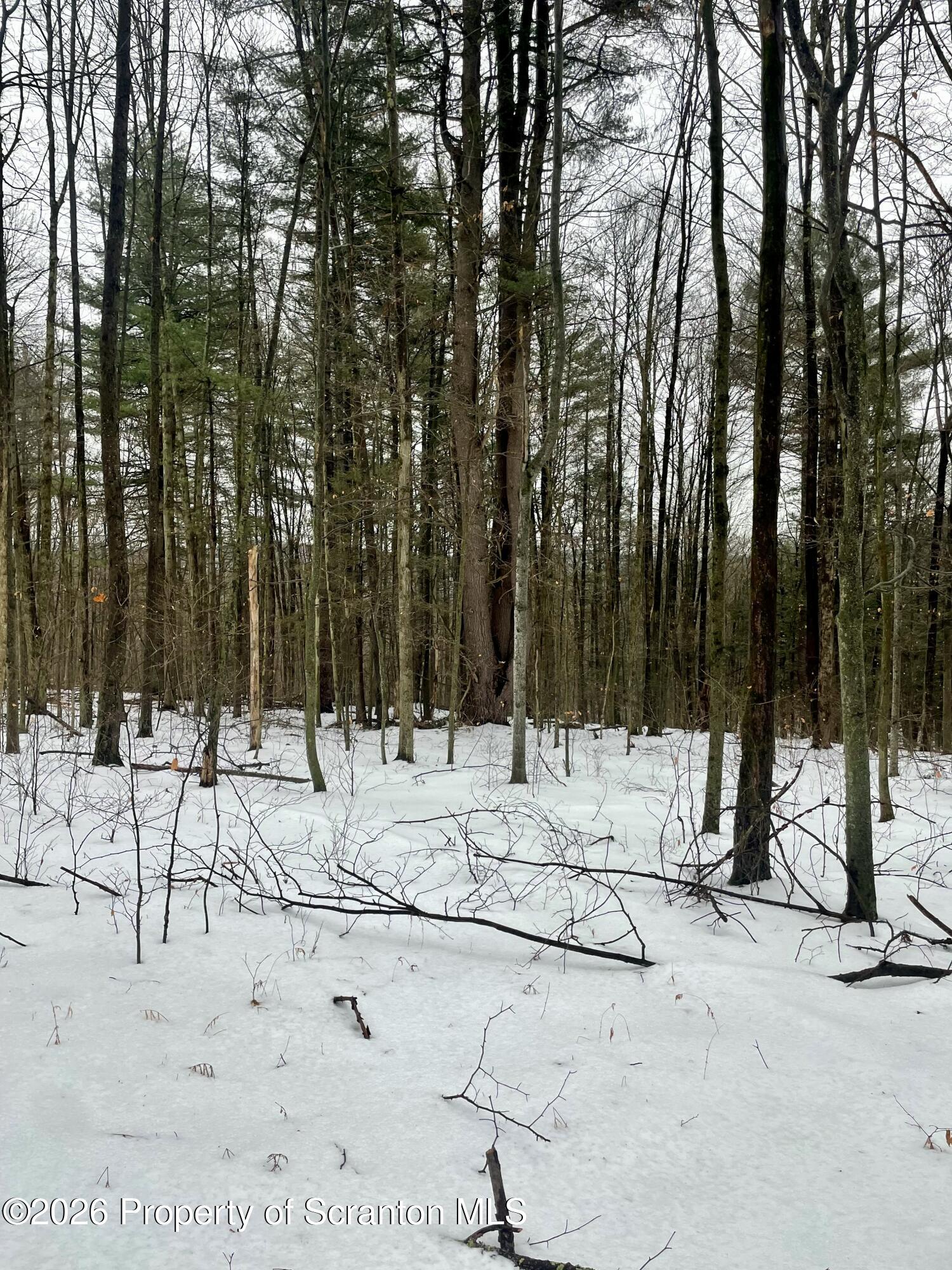 33 Arrowhead Road Little Meadows, PA 18830 - Photo 21 of 26 IMG_8836