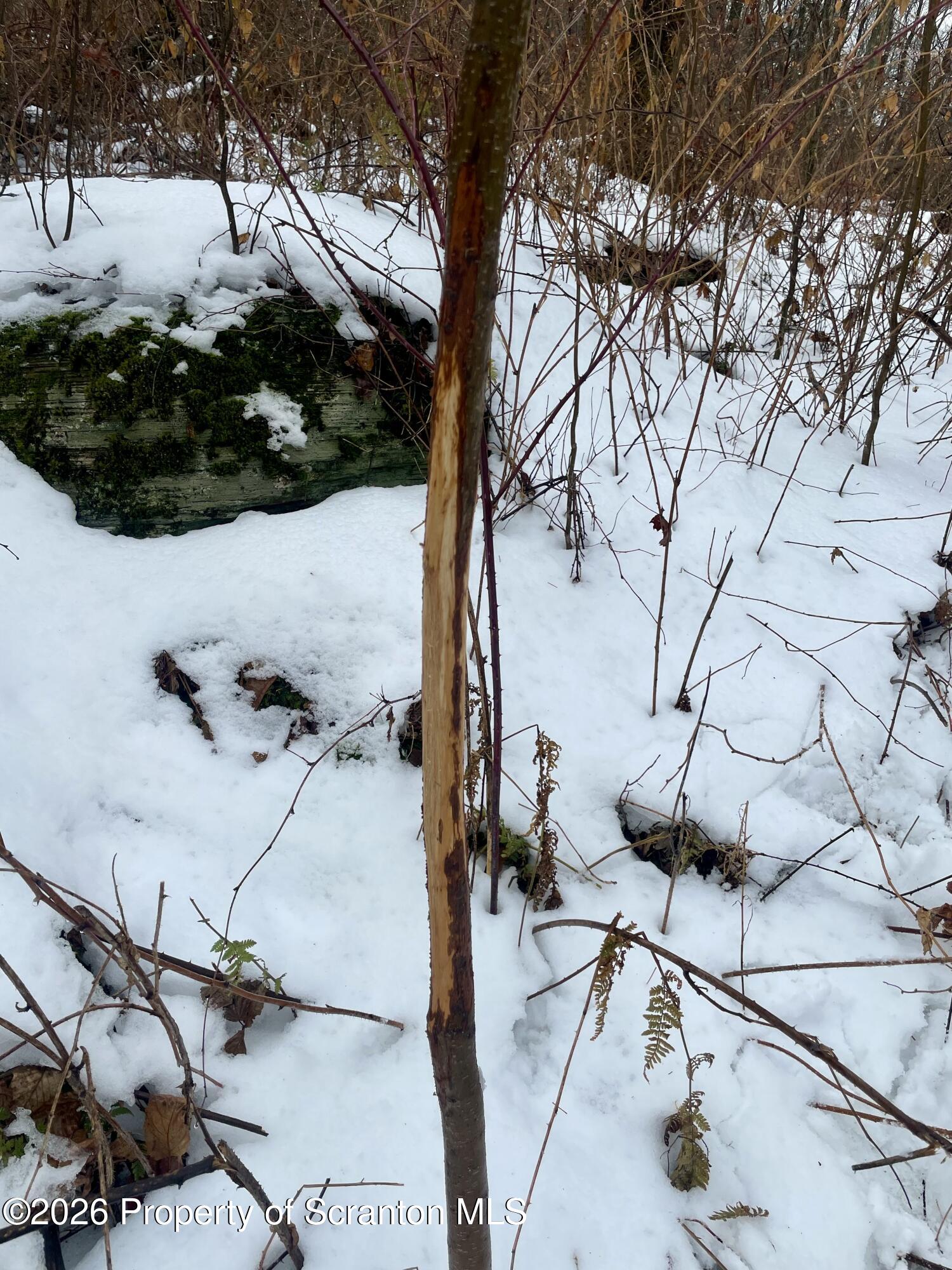 33 Arrowhead Road Little Meadows, PA 18830 - Photo 22 of 26 IMG_8843