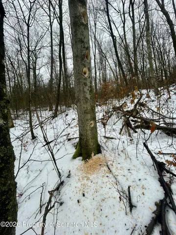 a view of snow on the side of a road