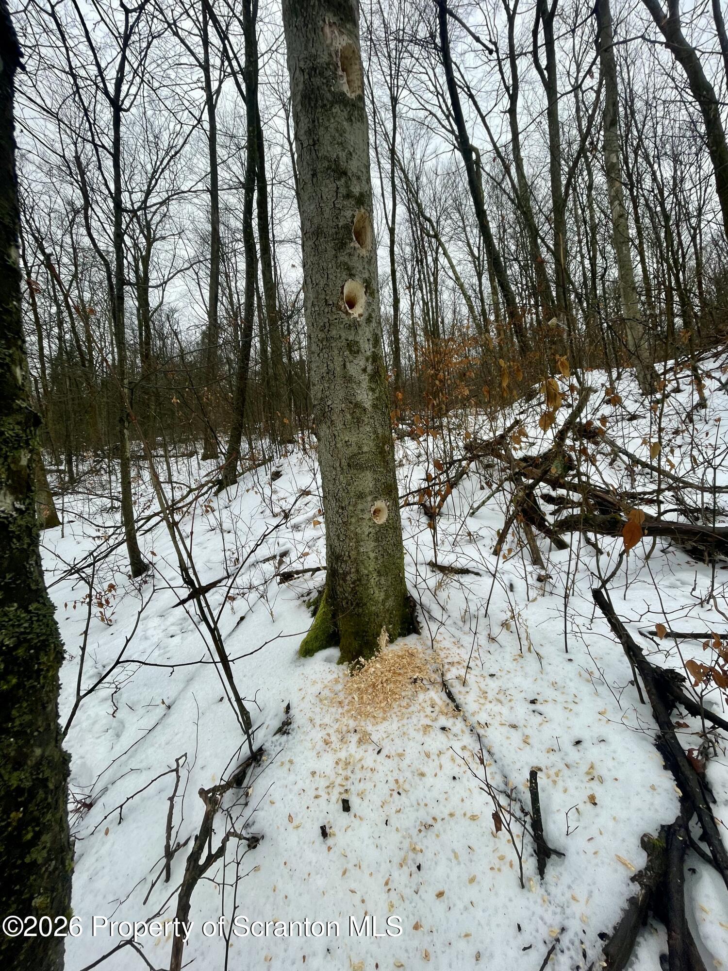 33 Arrowhead Road Little Meadows, PA 18830 - Photo 23 of 26 IMG_8848