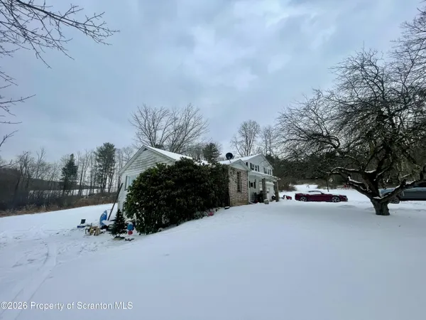 a view of road and trees