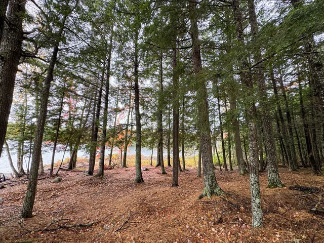 $199,900 | Map Pe002 Map Pe002, Springfield, ME 04487