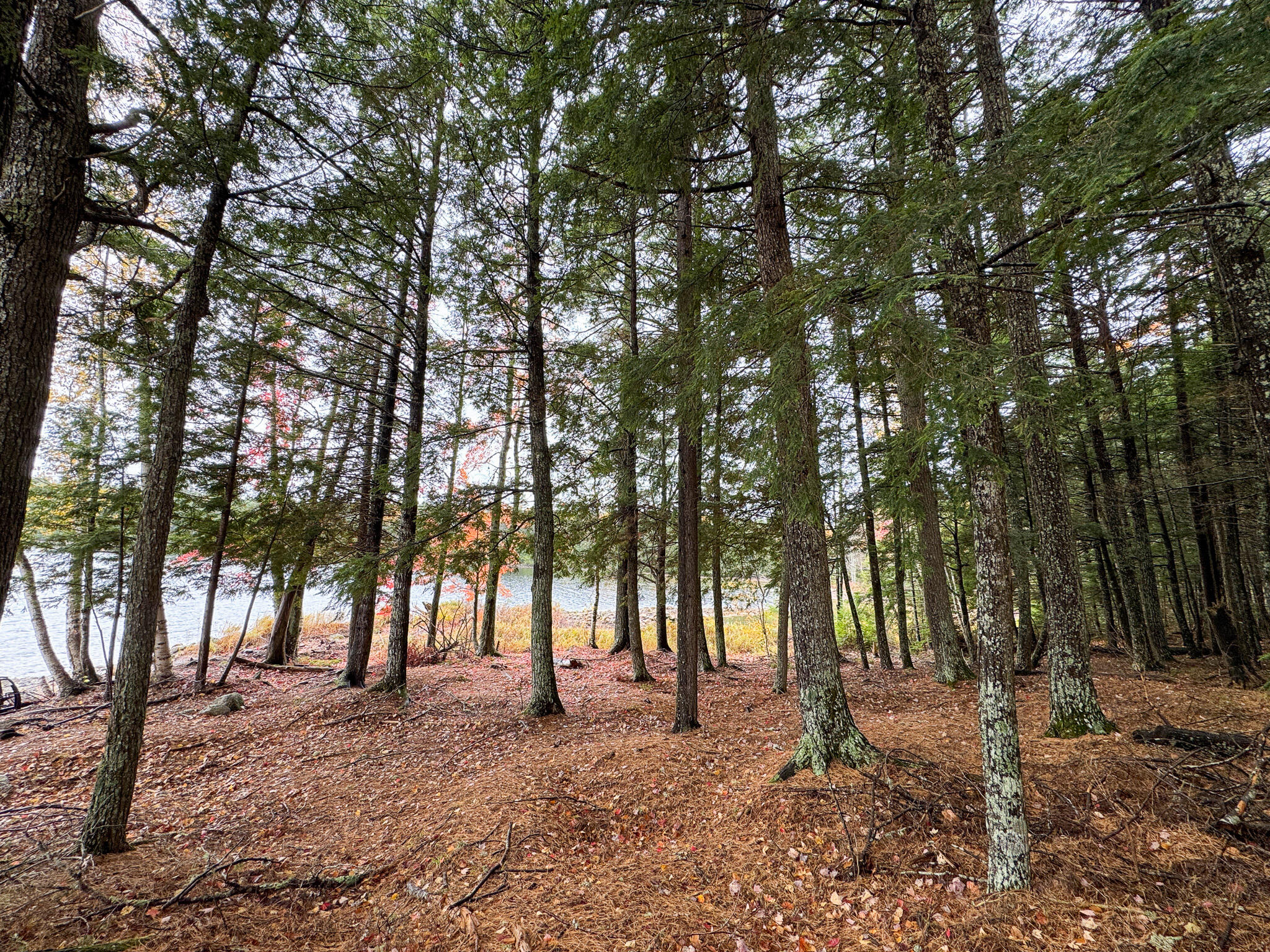 Map Pe002 Map Pe002 Springfield, ME 04487 - Photo 12 of 20 12