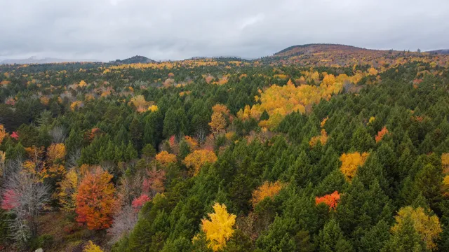 $199,900 | Map Pe002 Map Pe002, Springfield, ME 04487