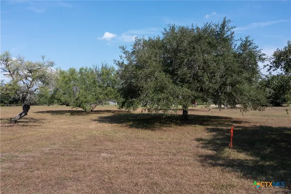 a view of a yard