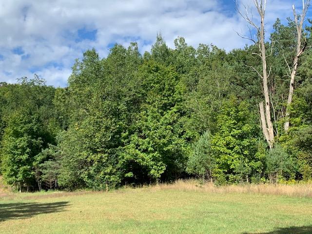 11416 Bilder Road Wolverine, MI 49799 - Photo 19 of 20 Gallery Image 19